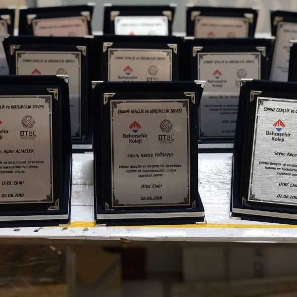 Edirne grafik plaket4