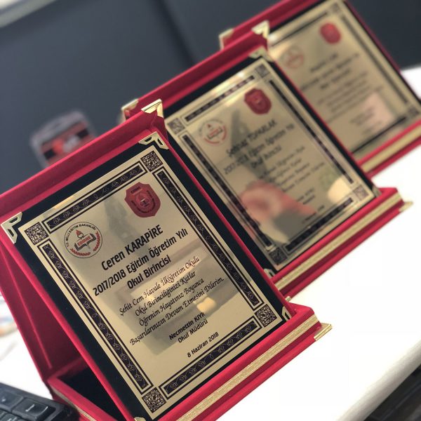 Edirne grafik plaket5