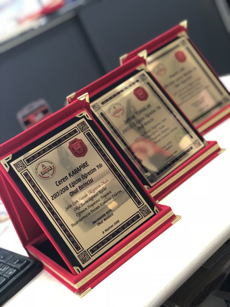 edirne_grafik_plaket5 Edirne grafik plaket5