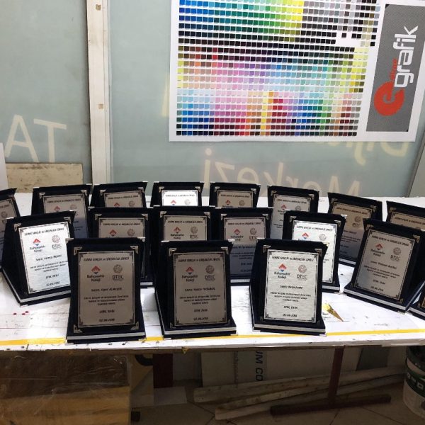 Edirne grafik plaket8