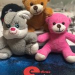 Edirne plaket oelus ayicik