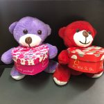 Edirne plaket hediye kutulu pelus ayi