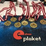 Edirne plaket madalya baski55