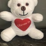 Edirne plaket pelus ayi